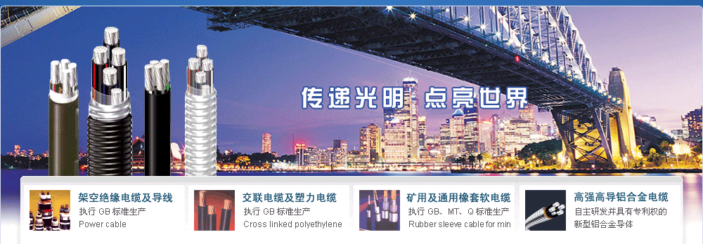 神龍線纜有限公司